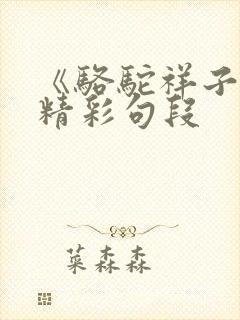 《骆驼祥子》的精彩句段