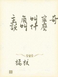 主角叫宁奇的小说叫什么