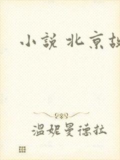 小说 北京故事