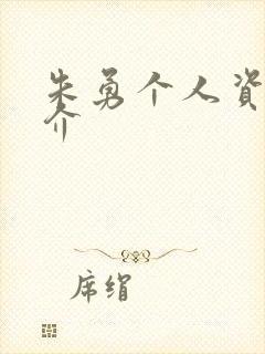 朱勇个人资料简介