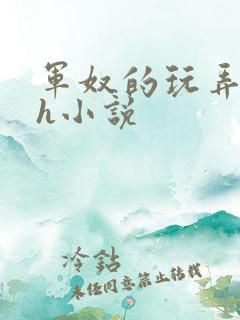 军奴的玩弄调教h小说