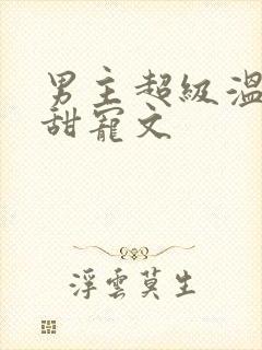 男主超级温柔的甜宠文