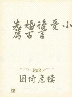 先婚后爱小说推荐古言