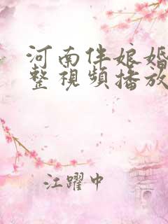 河南伴娘婚闹完整视频播放