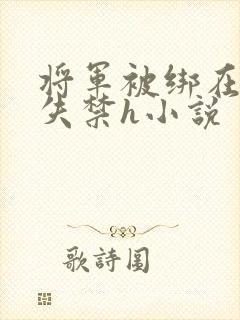 将军被绑在床震失禁h小说