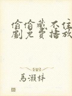 偷偷藏不住电视剧免费播放在线