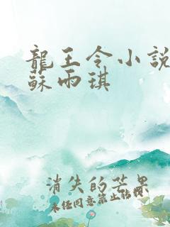 龙王令小说陈平苏雨琪