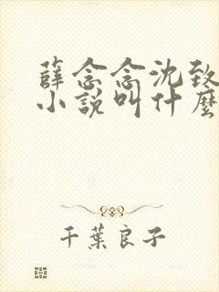 薛念念沈致宴的小说叫什么