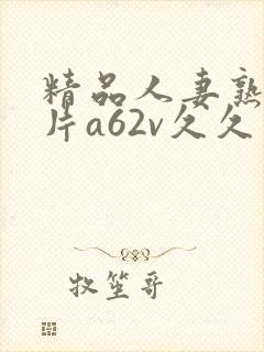 精品人妻熟女毛片a62v久久