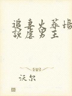 追妻火葬场的小说虐男主