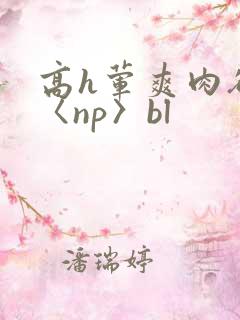 高h荤爽肉欲文〈np〉bl