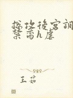 总攻后宫调教成禁脔h虐