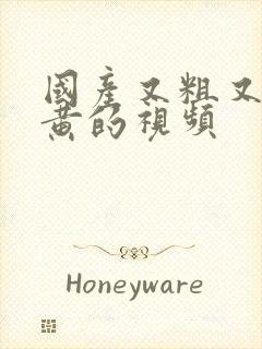 国产又粗又猛爽黄的视频