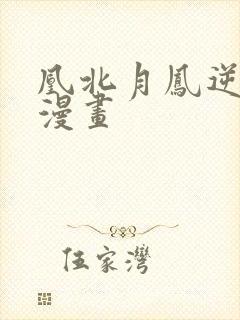 凰北月凤逆天下漫画