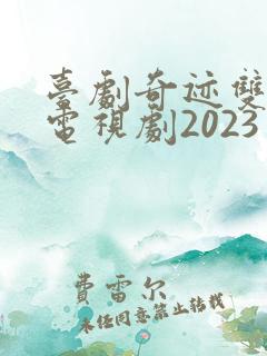 台剧奇迹双男主电视剧2023