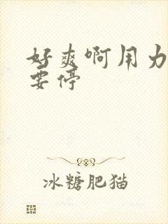 好爽啊用力插不要停