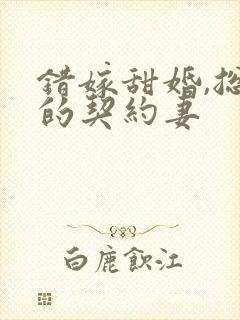 错嫁甜婚,总裁的契约妻