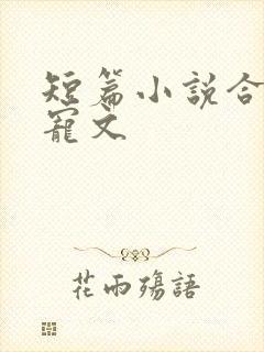 短篇小说合集甜宠文