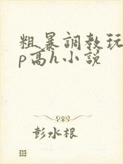 粗暴调教玩弄np高h小说