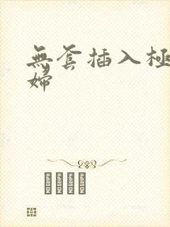 无套插入极品少妇