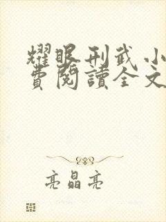 耀眼刑武小说免费阅读全文最新章节