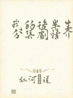 我的后半生剧情分集剧情介绍