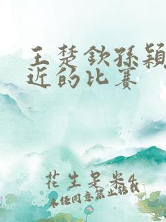 王楚钦孙颖莎最近的比赛