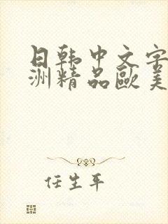 日韩中文字幕亚洲精品欧美人妻在线