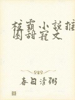 校霸小说推荐校园甜宠文