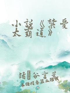 小说《禁爱总裁太霸道》