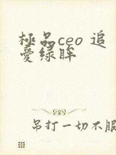 极品ceo 追爱绿眸