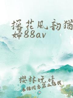 探花风韵犹存少妇88av