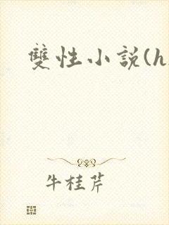 双性小说(h)