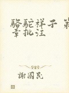 骆驼祥子 第十章批注