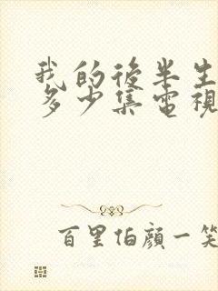 我的后半生一共多少集电视剧