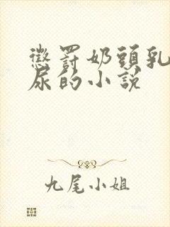 惩罚奶头乳夹憋尿的小说