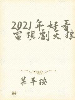 2021年好看电视剧天狼影视