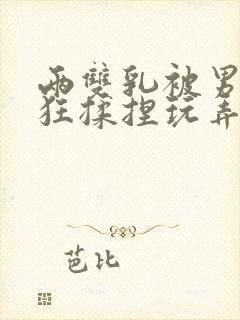 两双乳被男人疯狂揉捏玩弄小说