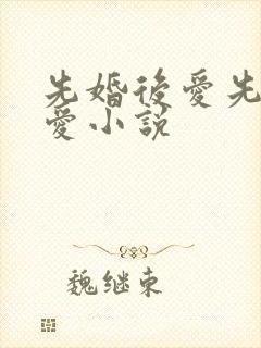 先婚后爱先婚后爱小说