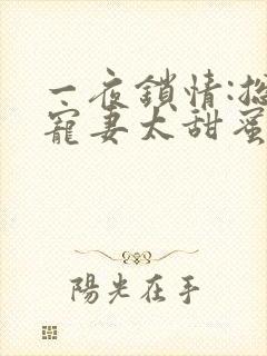 一夜锁情:总裁宠妻太甜蜜