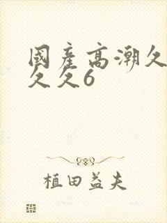 国产高潮久久久久久6