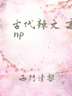古代辣文 高h np