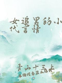 女追男的小说现代言情