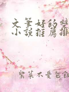 文笔好的双男主小说推荐排行榜