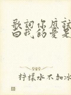 歌词你应该会明白我的爱是什么歌