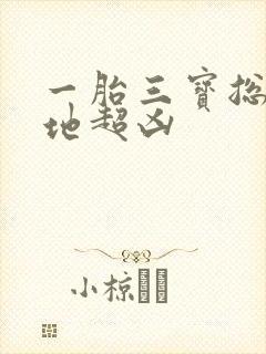 一胎三宝总裁爹地超凶