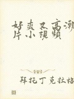 好爽又高潮了毛片小视频