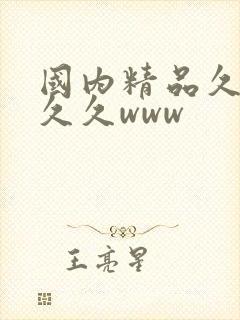 国内精品久久久久久www