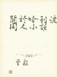 关于哈利波特的同人小说