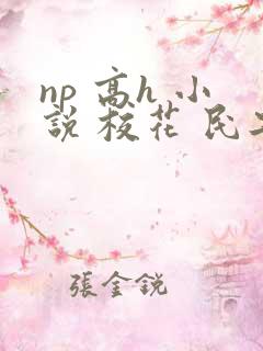 np 高h 小说 校花 民工